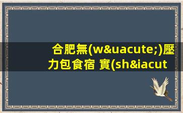合肥無(wú)壓力包食宿 實(shí)力團(tuán)隊(duì) 鄭重承諾無(wú)雜費(fèi)無(wú)押金夜場(chǎng)招聘kt
